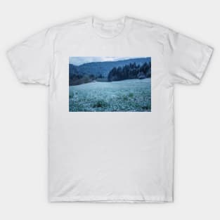 Meadow with first snow T-Shirt